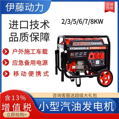 3KW移動(dòng)手推汽油發(fā)電機(jī)YT3600DC-2